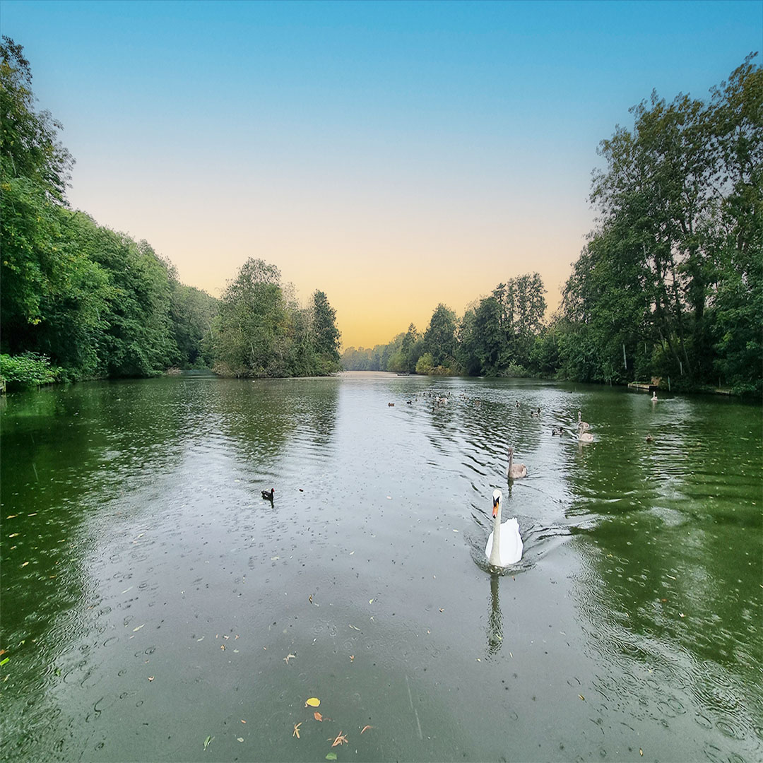 Area Guide Earley & Lower Earley My Bespoke Agent